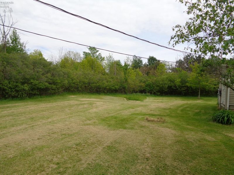 1246 Greenfield Drive, Willard, OH 44890 Photo 6