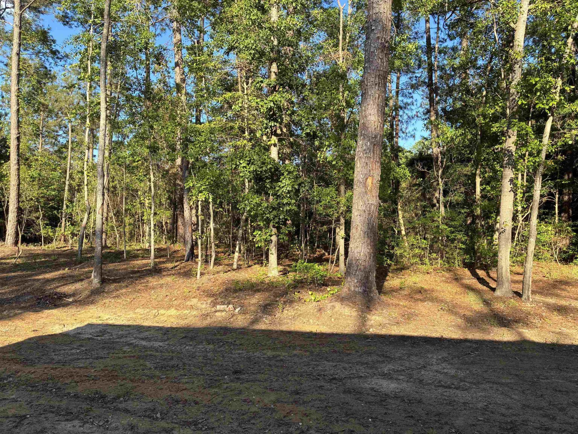 2252 Starduster Ln.  Photo 13