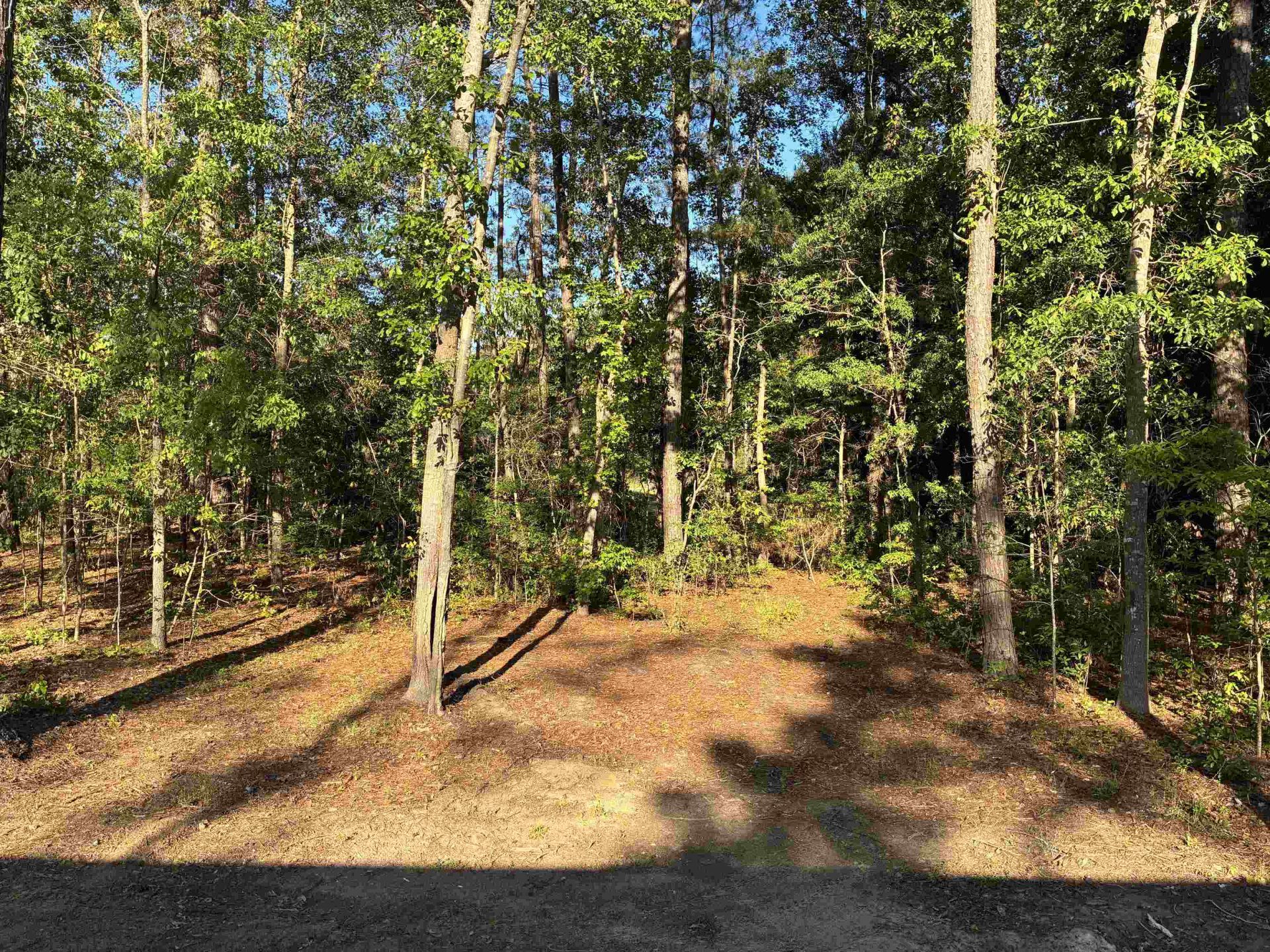 2252 Starduster Ln.  Photo 15