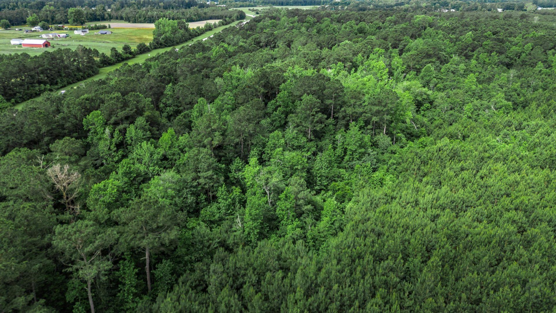 Tbd Horry Rd. Photo 13