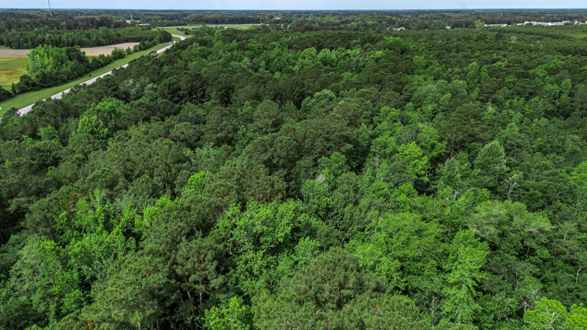 Tbd Horry Rd. Photo 14