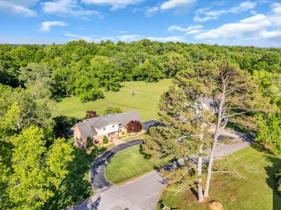 Property Image 81