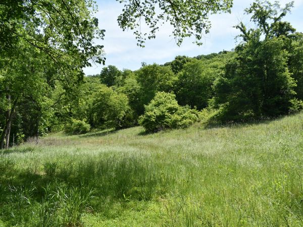 0 Brooks Bend Lane , Unit 1, Gainesboro, TN 38562