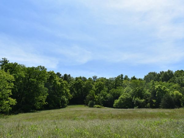 0 Brooks Bend Lane , Unit 2, Gainesboro, TN 38562