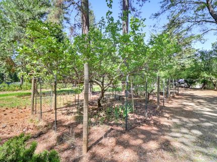 6409 Longridge, Foresthill, CA 95631 Photo