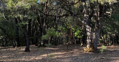 14577 Andrews, Pine Grove, CA 95665 Photo