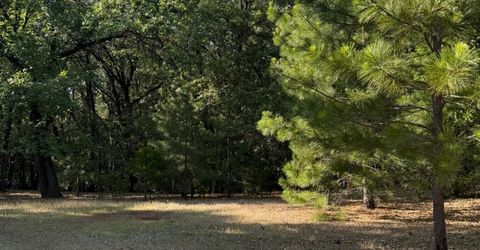 14577 Andrews, Pine Grove, CA 95665 Photo