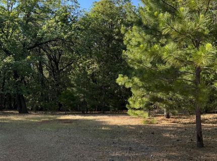 14577 Andrews, Pine Grove, CA 95665 Photo