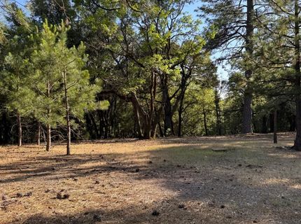 14577 Andrews, Pine Grove, CA 95665 Photo