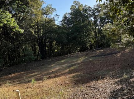 14577 Andrews, Pine Grove, CA 95665 Photo