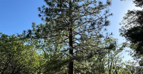 14577 Andrews, Pine Grove, CA 95665 Photo