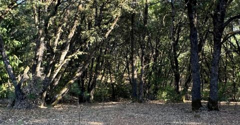 14577 Andrews, Pine Grove, CA 95665 Photo