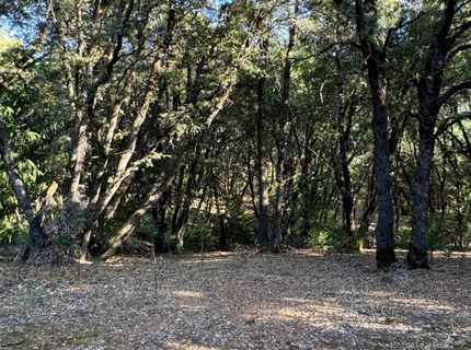 14577 Andrews, Pine Grove, CA 95665 Photo