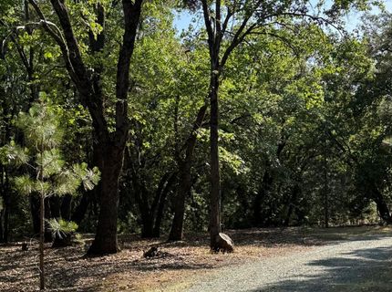14577 Andrews, Pine Grove, CA 95665 Photo