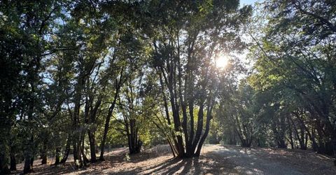 14577 Andrews, Pine Grove, CA 95665 Photo
