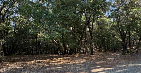 14577 Andrews, Pine Grove, CA 95665 Photo
