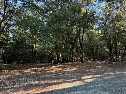 14577 Andrews, Pine Grove, CA 95665 Photo
