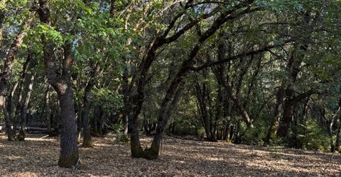 14577 Andrews, Pine Grove, CA 95665 Photo