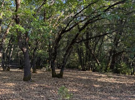 14577 Andrews, Pine Grove, CA 95665 Photo