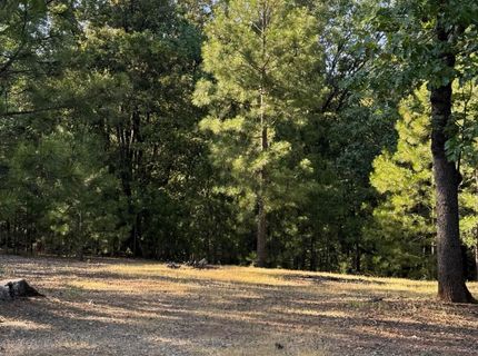 14577 Andrews, Pine Grove, CA 95665 Photo