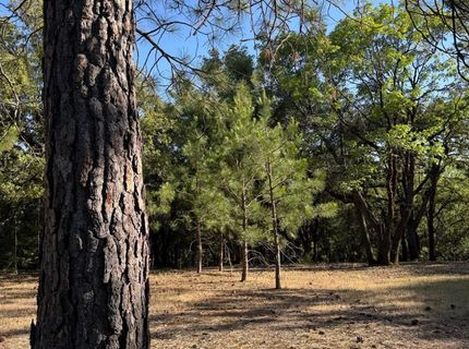 14577 Andrews, Pine Grove, CA 95665 Photo