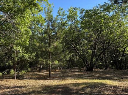 14577 Andrews, Pine Grove, CA 95665 Photo