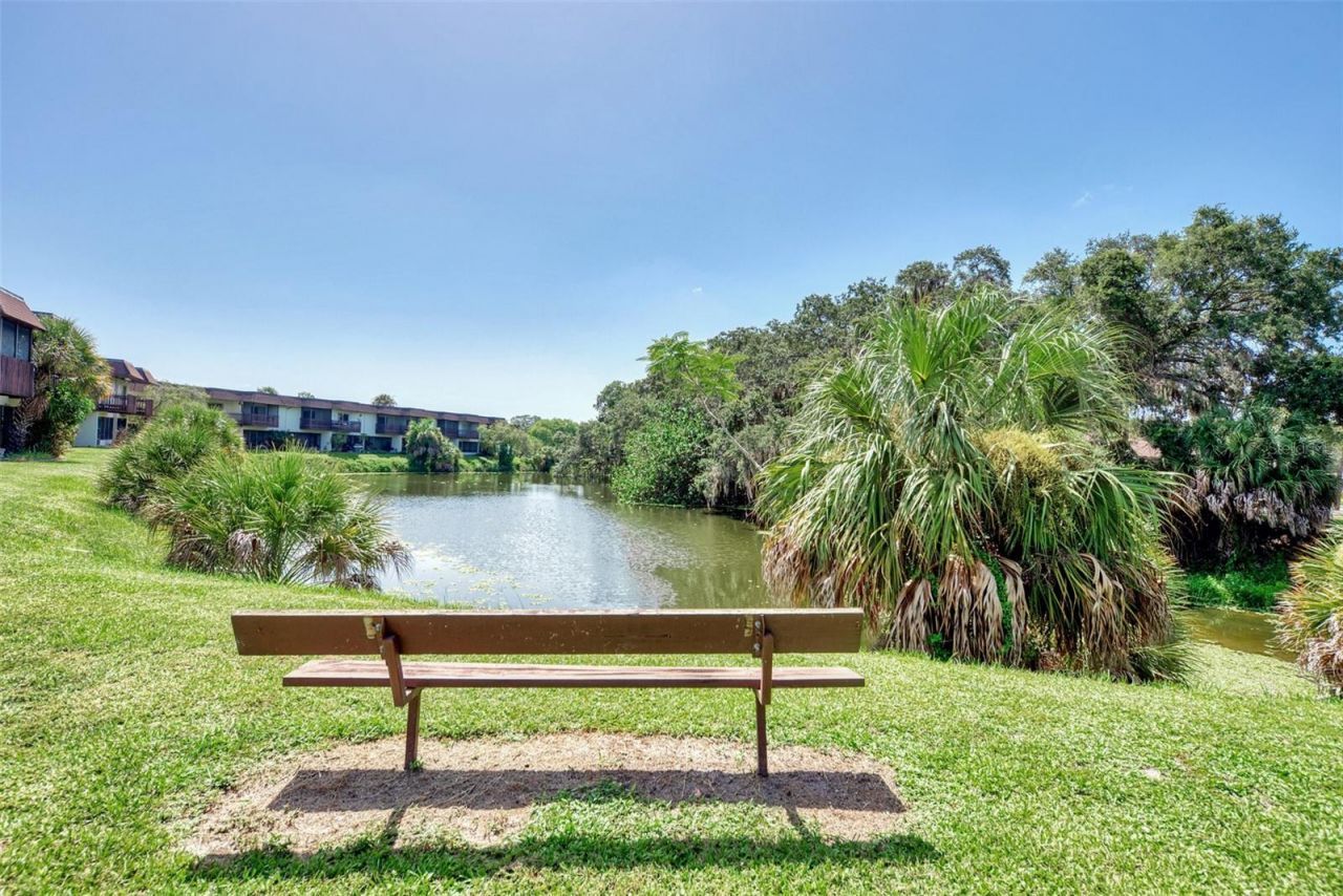3360 Ramblewood Drive S, Sarasota, FL 34237 Photo