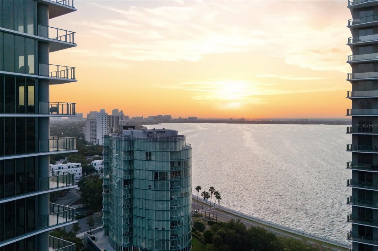 3015 S Ysabella Avenue, Unit 2102, Tampa, FL 33629 Photo