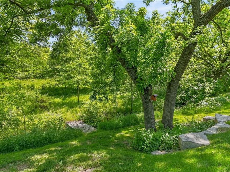 Property Image 43