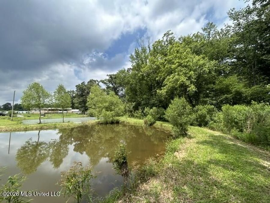 Property Image 81