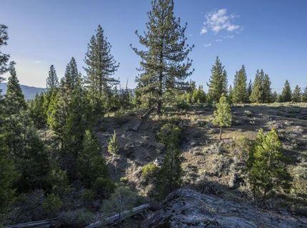 238 Clouds Rest, Portola, CA 96122 Photo