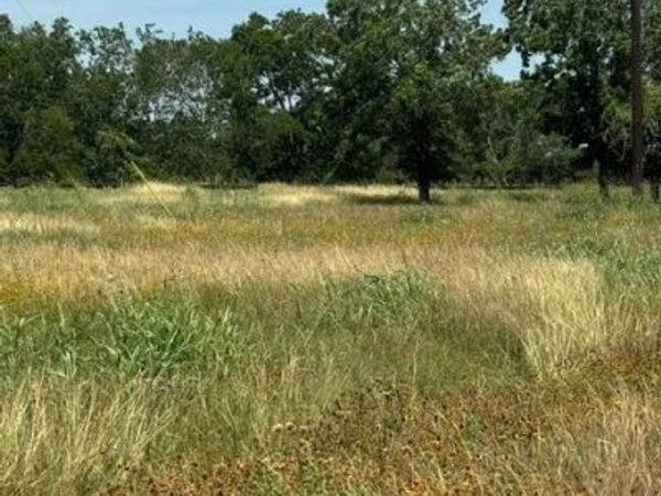 532 Old Gonzales Road , Cuero, TX 77954