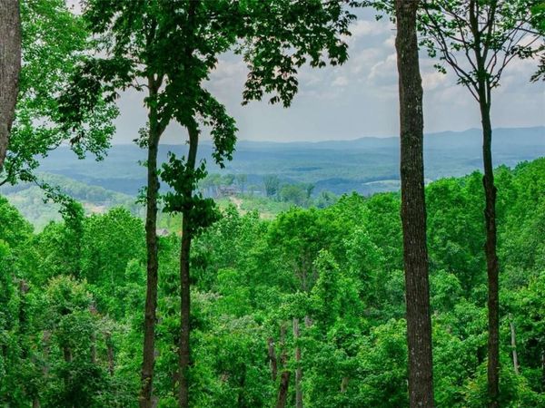 LT 411 Calloway Mountain Road , Talking Rock, GA 30175