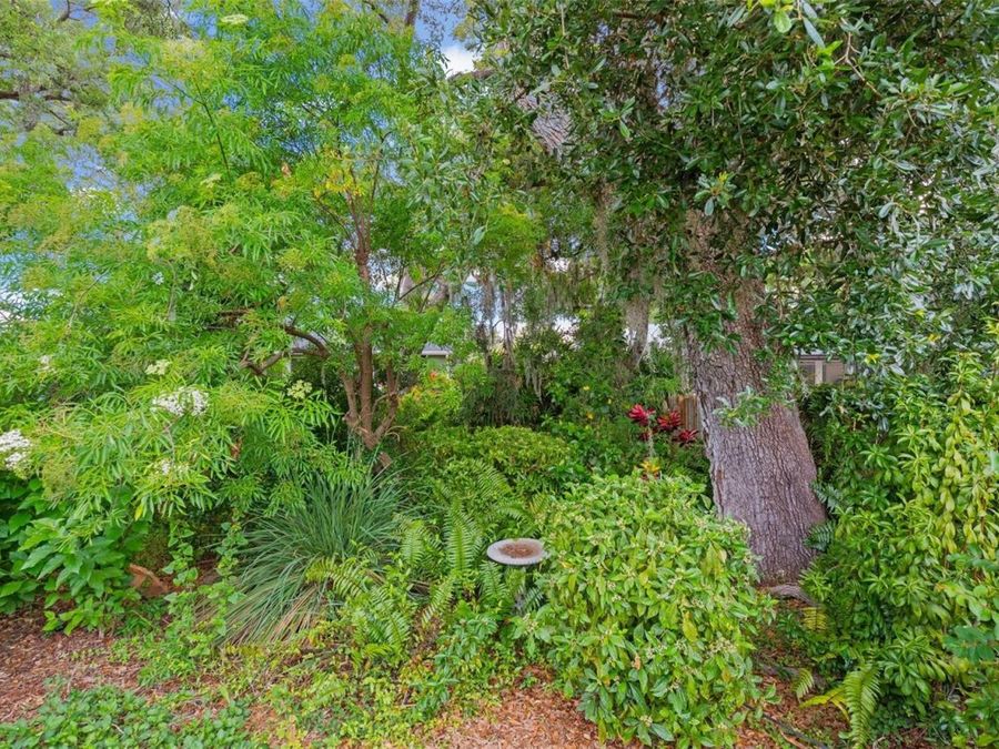 Property Image 63