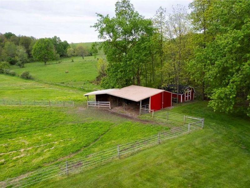 8582 Dundee Wilmot Road, Dundee, OH 44624 Photo 22