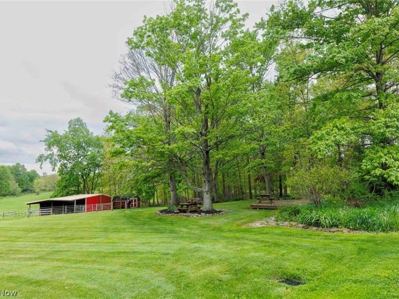 8582 Dundee Wilmot Road, Dundee, OH 44624 Photo 32