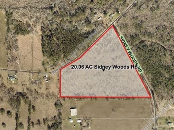 20.06 AC SIDNEY WOODS Road , Holden, LA 70744