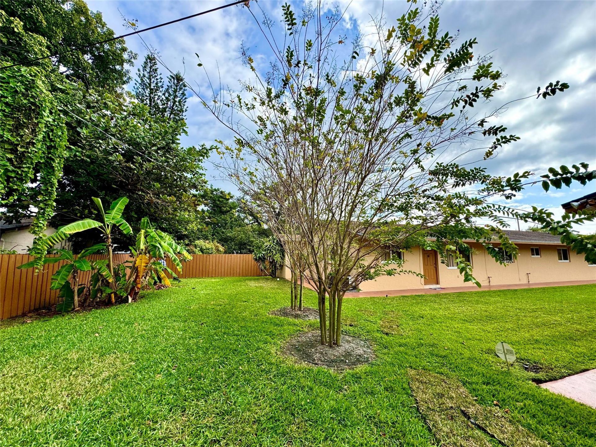 6133 Buchanan Street, Hollywood, FL 33024 Photo