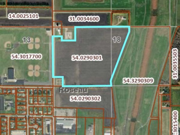 TBD 11th Ave NE , Roseau, MN 56751