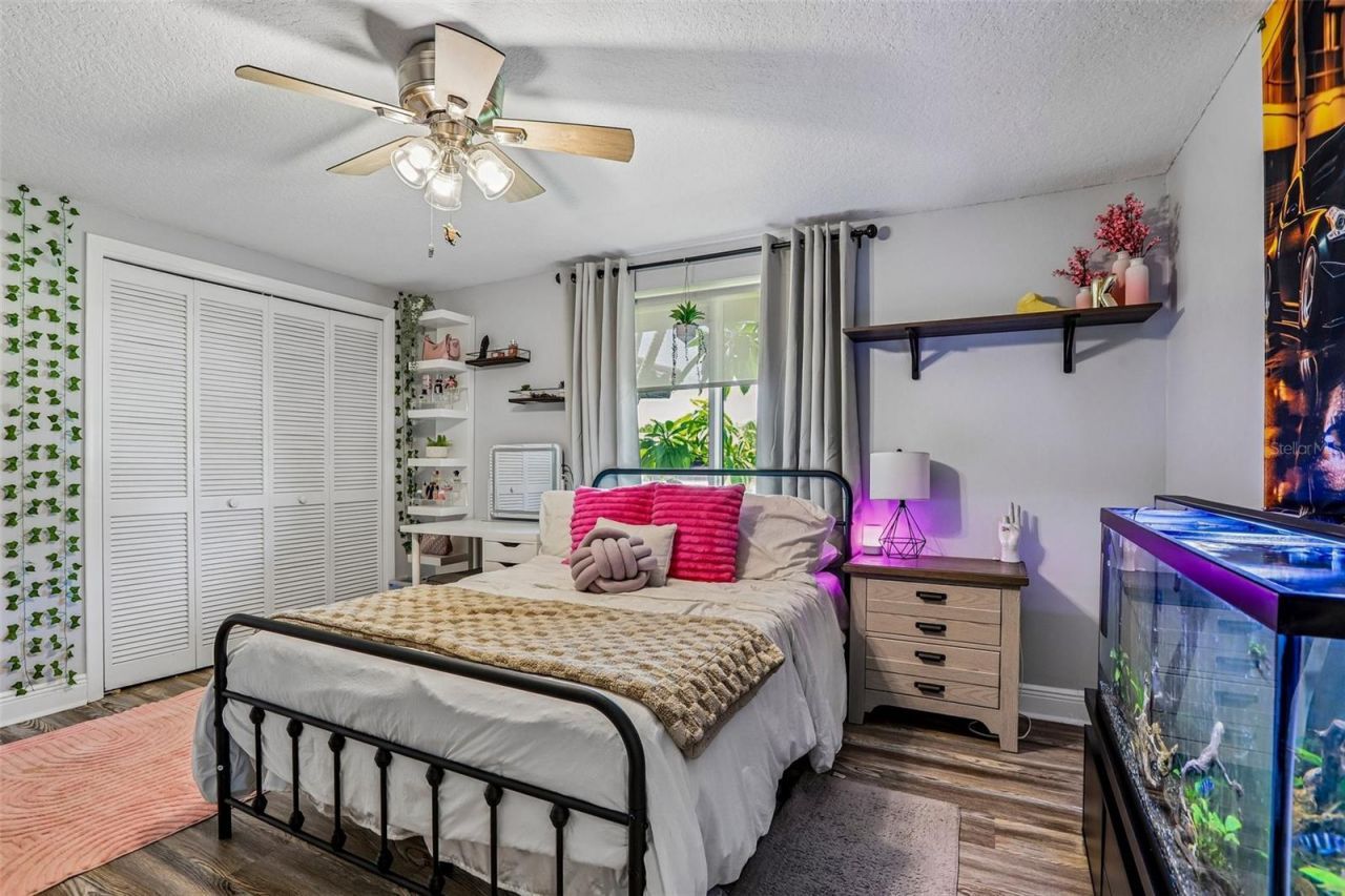 801 Flamingo Drive, Apollo Beach, FL 33572 Photo