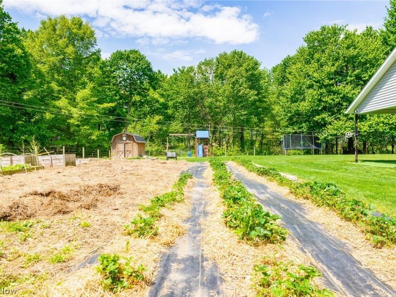 6401 E Moreland Road, Fredericksburg, OH 44627 Photo 44