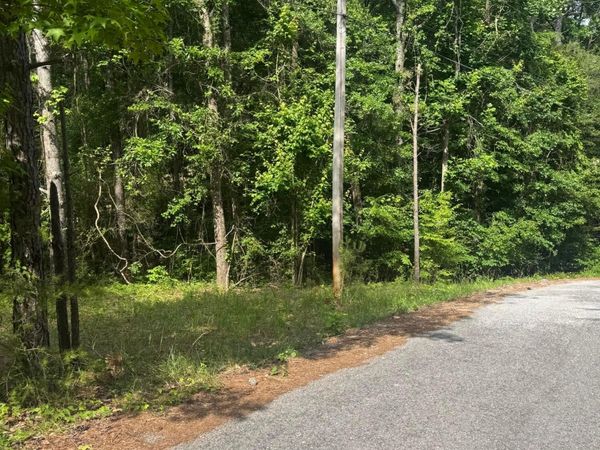 LOT 20 COUNTY ROAD 199, Bremen, AL 35033