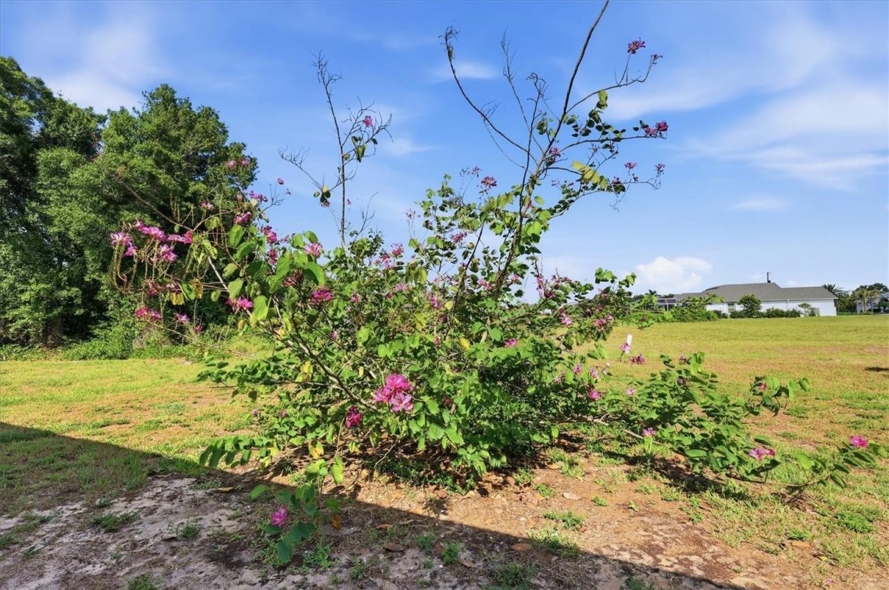 258 Rio De Janeiro Avenue, Punta Gorda, FL 33983 Photo