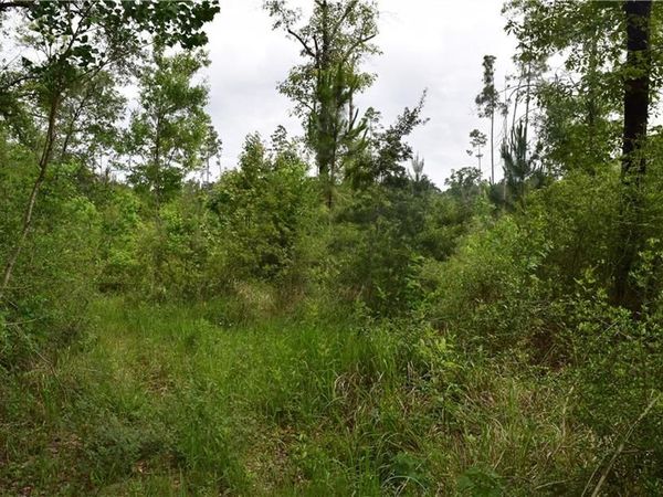 0 Mcgregor Road , Grand Bay, AL 36541
