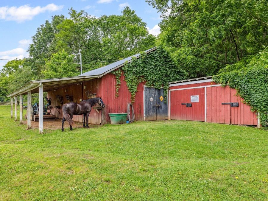 Property Image 41