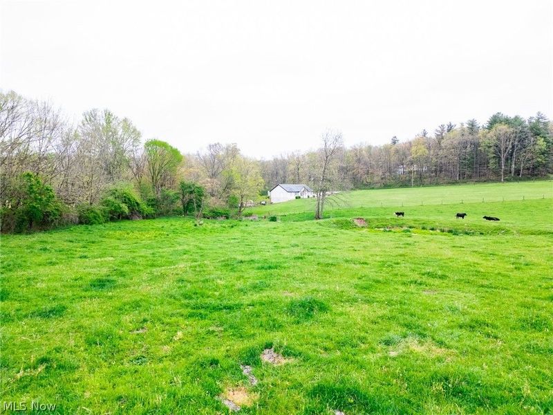 14655 Township Road 213, Lakeville, OH 44638 Photo 18