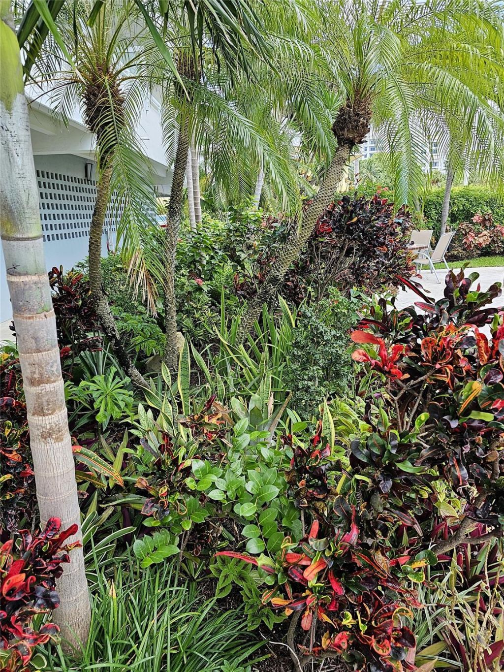 3212 NE 12th Street, Unit 202, Pompano Beach, FL 33062 Photo