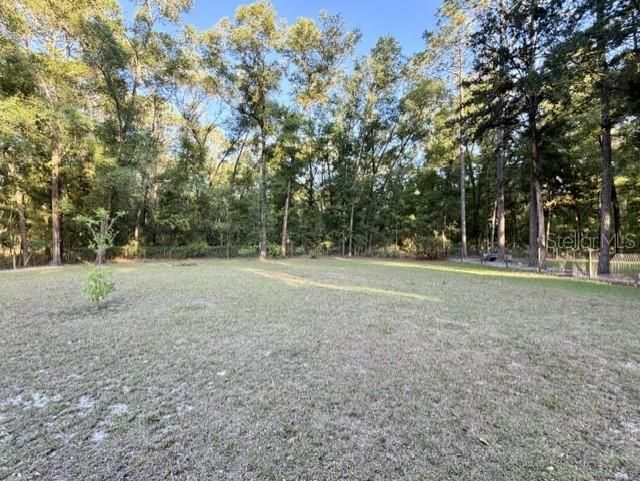 3520 NW 67th Terrace, Bell, FL 32619 Photo