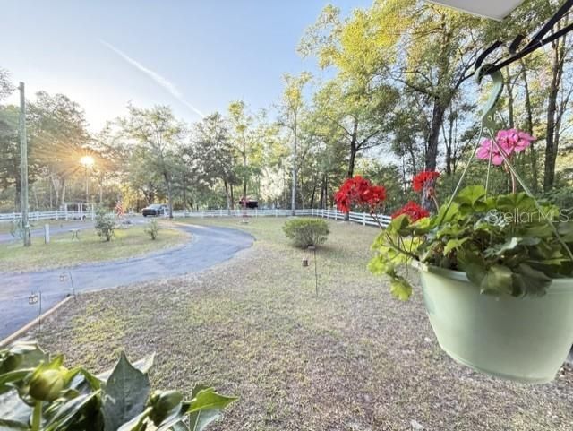 3520 NW 67th Terrace, Bell, FL 32619 Photo