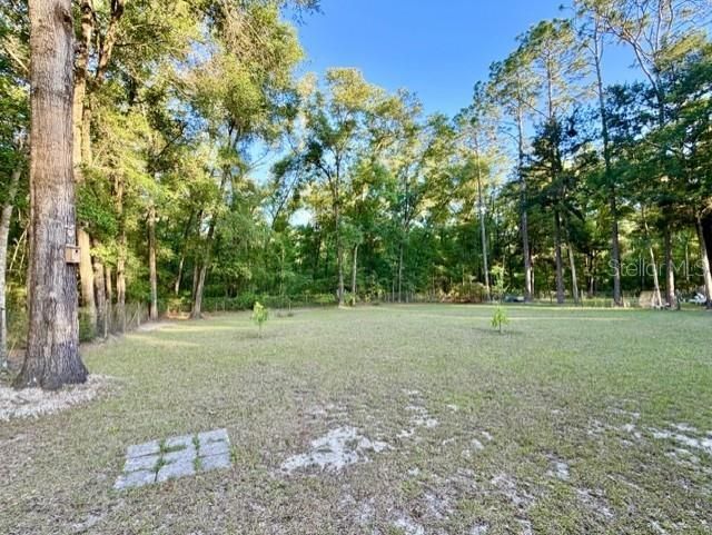 3520 NW 67th Terrace, Bell, FL 32619 Photo